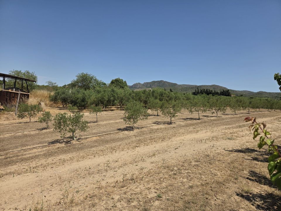 Finca i Ginestar, Tarragona - foto 5